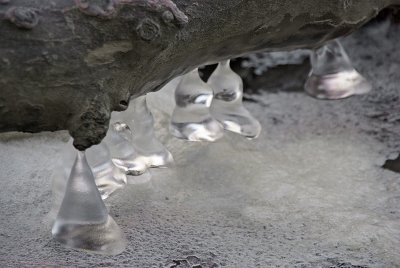 Ice Bells