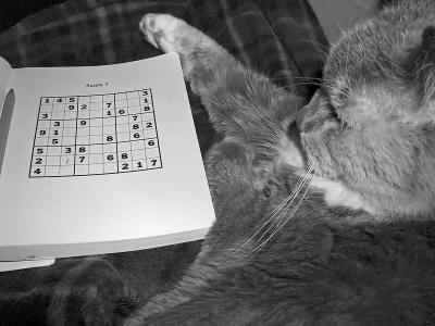 Do You Sudoku?