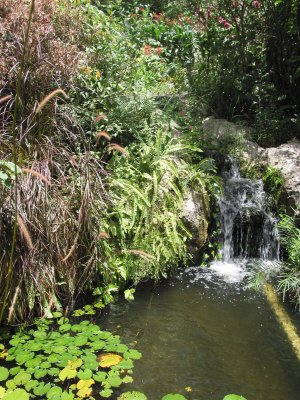 Andromeda Gardens