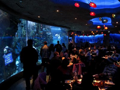Aquarium Restaurant 2