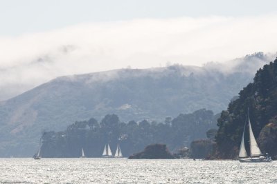 c2811 Tiburon