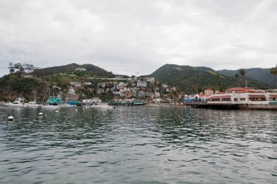 n4770 Harbor: so empty this year!