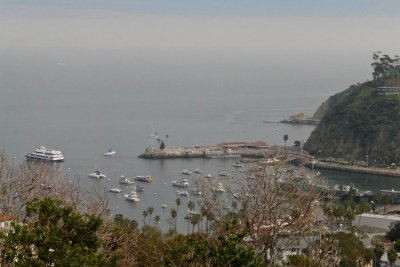 P20996 Bay of Avalon