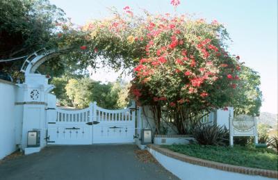 6-15-Driveway to Wrigley Estate