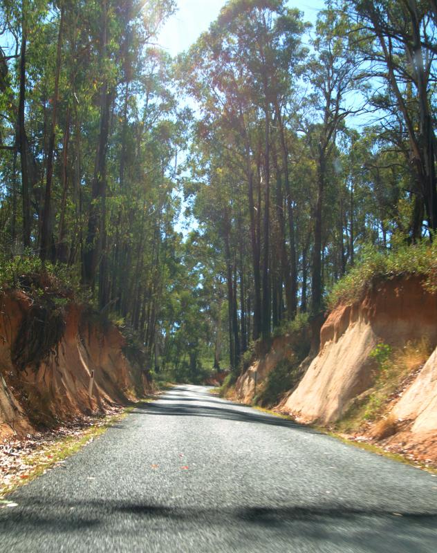 road near highest town in oz copy.jpg