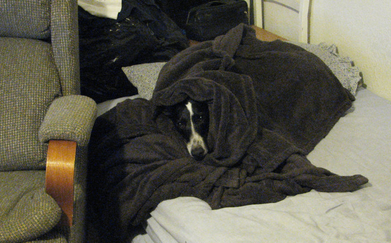 Ceatharlach all comfy