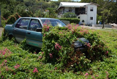 Long Term Parking Lot