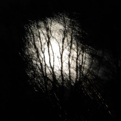 Nyårsnatt