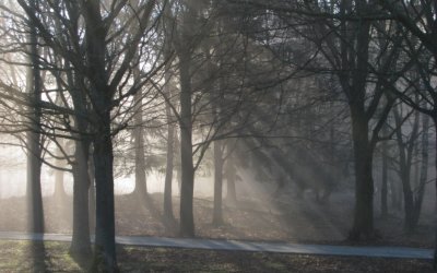 Dimmig vårmorgon på jobbet