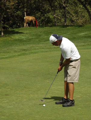 South Mountain Golf Course