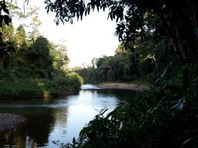 The river at caves branch