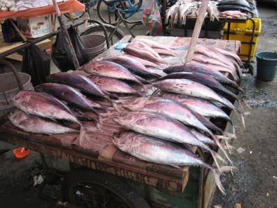 g3/22/279322/3/52603372.Pescados_Portoviejo.jpg