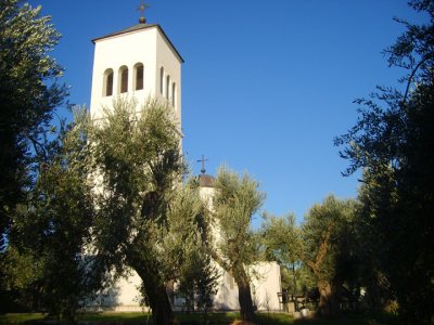 orthodox church and olive grove, ulcinj