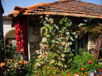 garden in ohrid