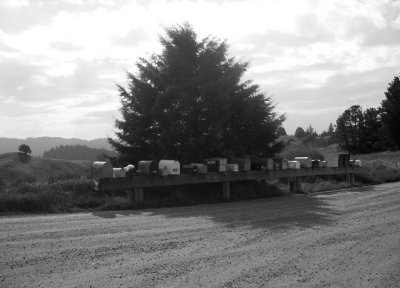 mailboxes in the middle of nowhere