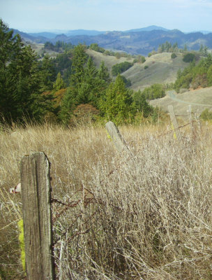 on the road outside of Ukiah