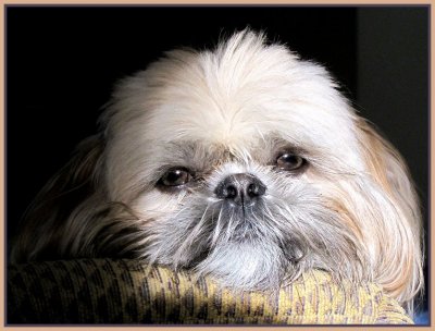 gatsby portrait 3.jpg