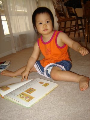 歡歡看書