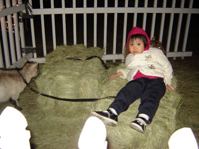 躺在稻草上