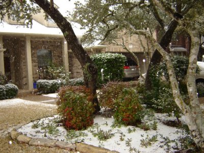Austin 下雪了!