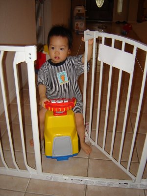 聚聚想騎車過柵欄