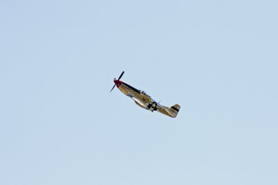 Apr 26 2009_0862.jpg