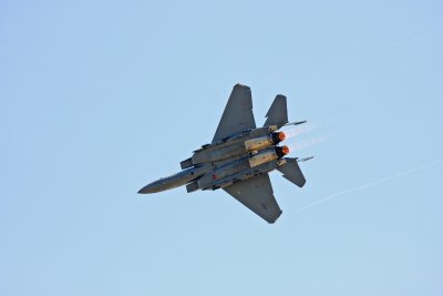 Apr 26 2009_1037.jpg