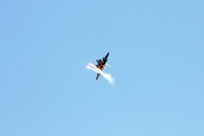 Wings over Wayne 2009