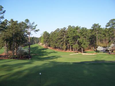g3/22/361622/3/58813483.Mid_Pines_01.jpg