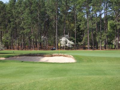 Mid_Pines_07.JPG