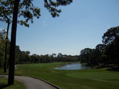 InnisBrook_Copperhead_08.JPG