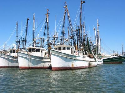 shrimp boats three