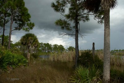 rain overhead and in the distance