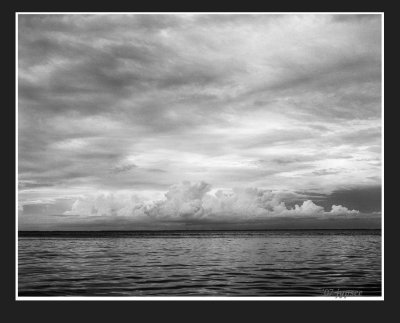 cloud bank in black and white