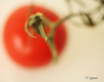 g3/22/364822/3/89384788.2g8d8Uzg.jpg