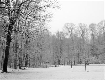 Edwards Gardens on a snowy day