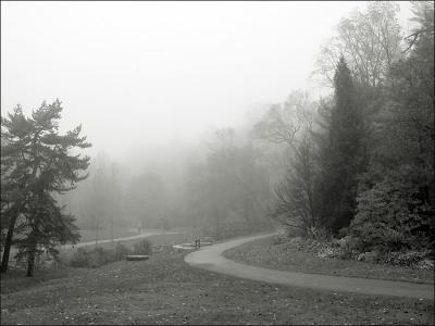 B&W Scenics & Landscapes