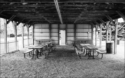 Picnic shed