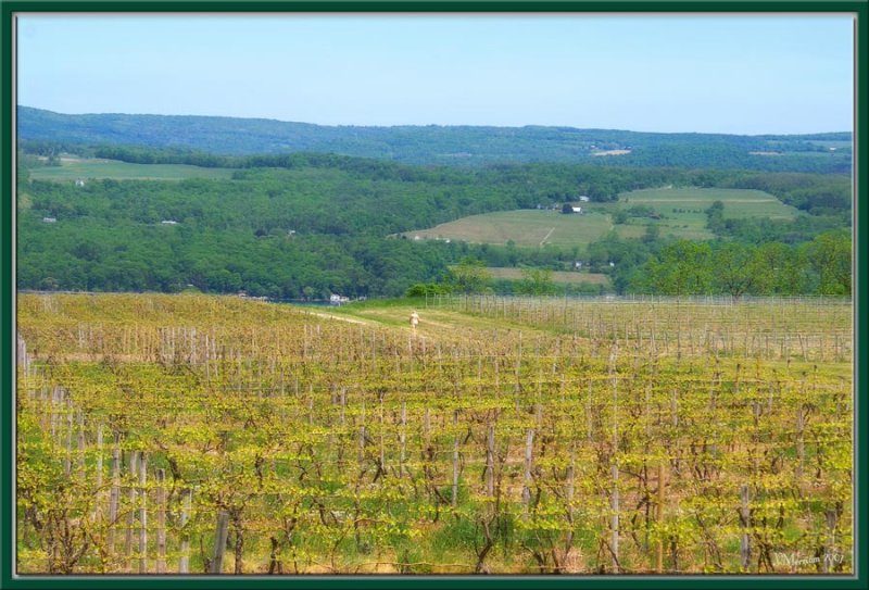 How Green IS My Valley