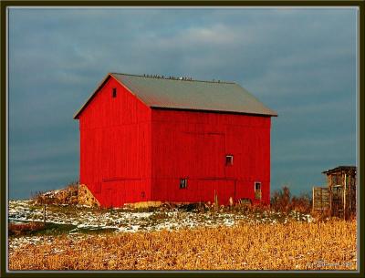 The VERY Red Barn ~ Happy Thanksgiving!