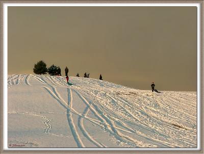 Get the Sled Out!