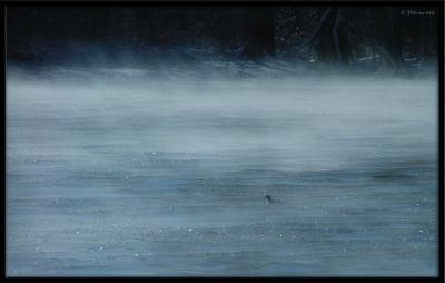 Misty Blue
