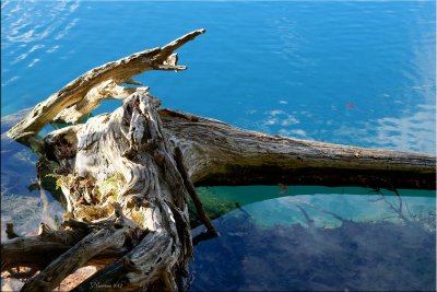 Turquoise Water Colour