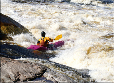 Rapid Run