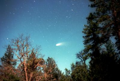 Comet Hale-Bopp