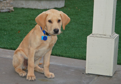 Check Out The Paws!!