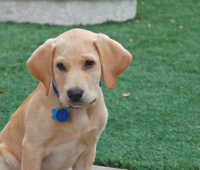 Charlie