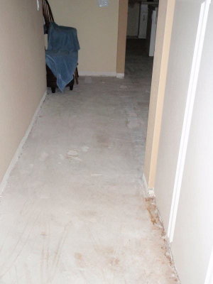 Back Hall - Old Tile Removed