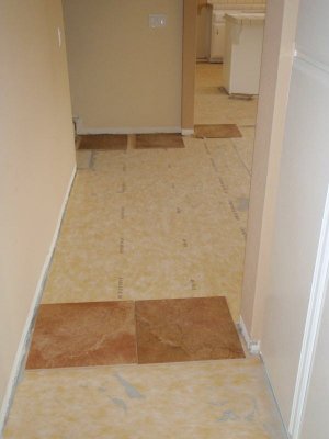 Back Hall - Substrate in Place - Next Step is to Lay the Tile