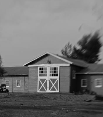 Countryside